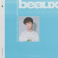beaux - Memories Written Down So I Won't Forget Them