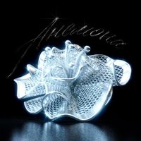 AMCHI - Анемона