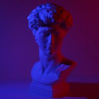TV Torrance - THE ACT DELUXE
