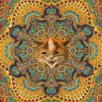 SLUG BAIT - HALLUCINOGENEALOGY
