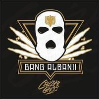 Gang Albanii - Ciężki gn&oacute;j