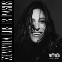 Zemmoa - Los 12 Pasos