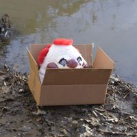 York Land - Overnight Clown Delivery