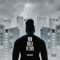 Seedy - NEW DRILLA IN TOWN