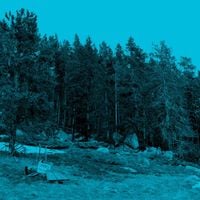 JJJJJerome Ellis - The Clearing