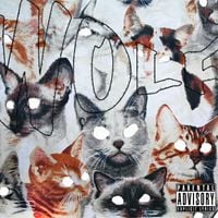 Tyler, The Creator - Wolf (Original 2010 Version)