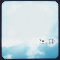 Paleo - A View Of The Sky