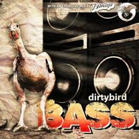 J. Phlip - Bass
