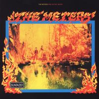 The Meters - Fire on the Bayou