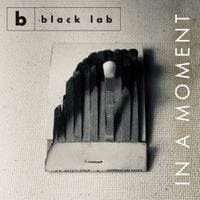Black Lab - In a Moment