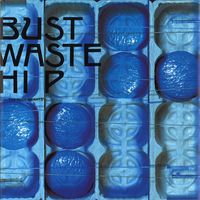 THE BLUE HEARTS - Bust Waste Hip