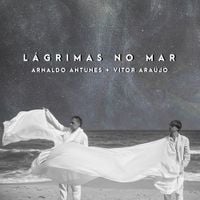 Arnaldo Antunes & Vitor Ara&uacute;jo - L&aacute;grimas no Mar