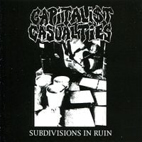 Capitalist Casualties - Subdivisions in Ruin