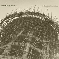 Seahorses - is this just survival