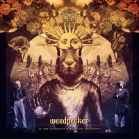 Weedpecker - IV: The Stream of Forgotten Thoughts