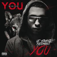 Mister You - Le Grand M&eacute;chant You
