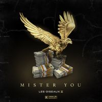 Mister You - Les oiseaux II