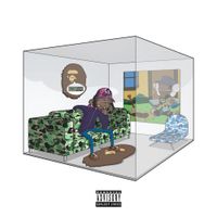 THE 6TH LETTER - A Bathing Ape In A Hotbox