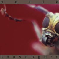 Calla - Scavengers