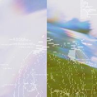 Flowafield - the girl who hates the city