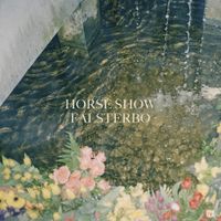 Horse Show - Falsterbo