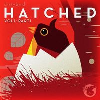 Various Artists - Dirtybird Hatched (Part 1)