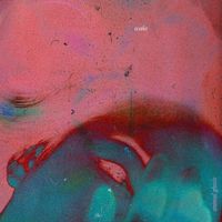 Animal Ghosts - Wake
