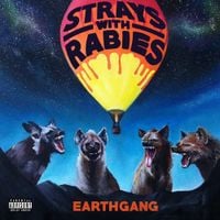 EARTHGANG - Strays with Rabies