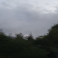 Zinga - dash
