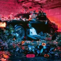 Tayc - Fleur Froide