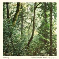 Hetchy - transmissions from elsewhere