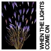 IDLES - When The Lights Come On