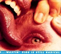 The Flaming Lips - Yeah, I Know It's a Drag... But Wastin' Pigs Is Still Radical