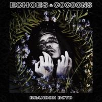 Brandon Boyd - ECHOES & COCOONS