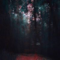 To Forget - Echoes Take Their Place
