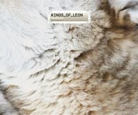 Kings of Leon - Revelry