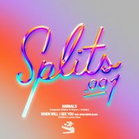 Various Artists - Splits 001