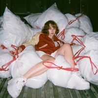Kaitlyn Shuko - Disposition