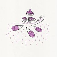 Shuttle - Matango Island