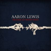 Aaron Lewis - Frayed At Both Ends