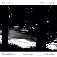 Thomas Zehetmair / Thomas Larcher / Ursula Holliger - Lieder ohne Worte