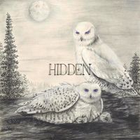 RONEN - Hidden