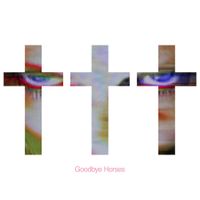 &dagger;&dagger;&dagger; - Goodbye Horses