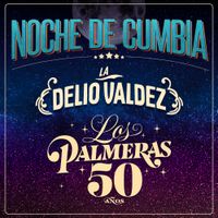 Los Palmeras - Noche de Cumbia