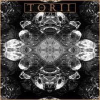 Torii - Torii
