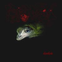 Phyllomedusa - Shovelhead