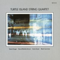 Turtle Island Quartet - Turtle Island String Quartet