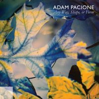 Adam Pacione - Any Way, Shape, Or Form