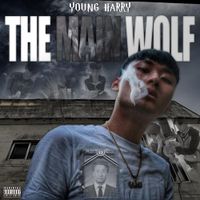 Young Harry - The Main Wolf