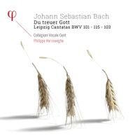 Collegium Vocale Gent / Philippe Herreweghe - Du treuer Gott: Leipzig Cantatas BWV 101 - 115 - 103